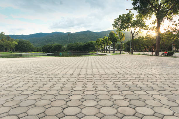 Professional Driveway Pavers in Magnolia, TX